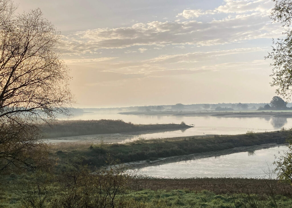 Nebelschwaden über der Elbe bei Blick über den Deich vom Ferienhaus Altes Elbschifferhaus in Unbesandten